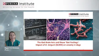 The Gut-Brain Axis Impact of B longum BL999 on anxiety in dogs Ragen TS McGowan