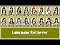 Download Lagu MNL48 – Labrador Retriever [Lyric Video TAG/BAY/ENG]