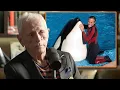Expert Dolphin Trainer Reveals Why Orcas Keep Killing Their Trainers Ric O Barry