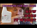 What To Expect when Treating For Bed Bugs