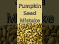 Pumpkin Seed Mistake