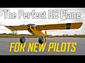 Beginner friendly RC Plane FliteTest Storch