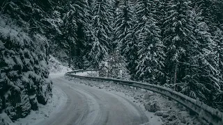 Яскрава Зірка ON THE BRINK 