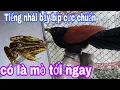 Download Lagu TIẾNG NHÁI GHÉP TIẾNG BÌM BỊP CỰC CHUẨN 2022