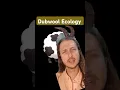 Dubwool Ecology hype to bump those Bulbapedia numbers up