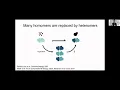 Evolution of gene duplication from redundancy to dependency by Christian Landry - ISCBacademy