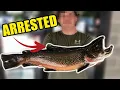 West Virginia Trout Fishing Legend ARRESTED for SNAGGING Giant Trout
