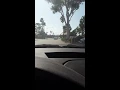 "Sandy" by Ronny & The Daytonas played loudly from a Hot Rod (An American Sports Car)