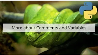 More about Python comments and variables