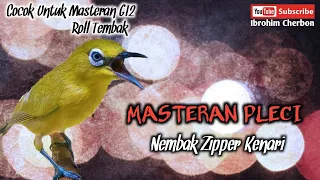 Download MASTERAN PLECI || Nembak Zipper Kenari || Cocok Untuk Masteran G12 \u0026 Roll Tembak MP3