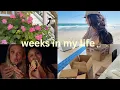 weeks in my life summer days Montauk trip moving into my new home