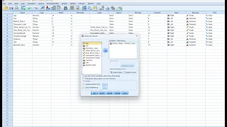 Using Automatic Recode Function in SPSS