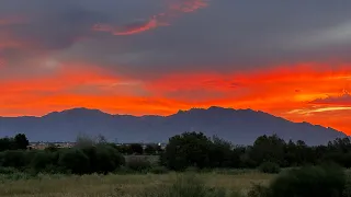 Tucson Arizona - The Loop