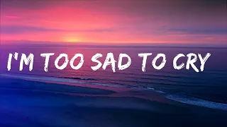 Download I'm too sad to cry / sad song to cry to Lyrics Video MP3