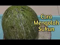 Download Lagu 3 Cara mengolah Buah SUKUN