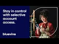 A Quick Look at Bluevine s Selective Account Access Feature