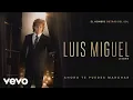 Download Lagu Diego Boneta - Ahora Te Puedes Marchar (Luis Miguel La Serie - Audio)