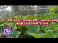Download Lagu DJ Tak Bosan Bosan aku memandangmu Angklung viral Tiktok ||DikaFzrnRemix