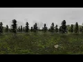 scary teletubbies in the forest