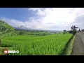 Download Lagu EVAN DARYATA~ SING NGIDANG NEKEPIN