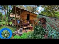 Download Lagu Kehidupan di rumah pondok hutan,panen kacang tanah,menanam ubi jalar,  tumis kangkung CTd-60