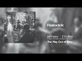 Download Lagu Jeff Parker ETA IVtet - Freakadelic
