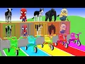 Long Slide Game with Cow Elephant Gorilla Hippopotamus Tiger 3d Animal Game Funny 3d Animals