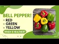 Benefits Of Bell Peppers Red Yellow And Green Which Out Of All Three Is Healthier