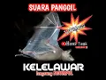 Download Lagu SUARA PIKAT KELELAWAR 💯% AMPUH