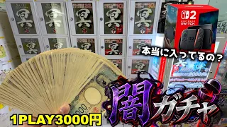 1回3000円の闇ガチャでスイッチ2（59,800円）出るまでぶん回してみたw
