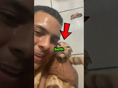 Cats Hate Bath Time 🐈