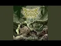 Download Lagu Putrefaction Through Mire (feat. Blood On The Concrete)