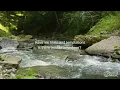 Sparrow Music - What A Friend We Have In Jesus (New Lyrics and Arrangement) | Hymn Adaptation
