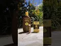 Download Lagu So happy to finally be able to try Sun Bum products! ☀️ #shorts #sunbum #fyp #unboxing