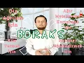 Download Lagu BORAKS Diz Ağrıları ve Ağır Metaller için