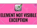 Selenium ElementNotVisibleException