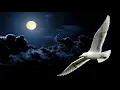 Download Lagu 💎NEIL DIAMOND ~ JONATHAN LIVINGSTON SEAGULL MEDLEY 1977 [Live Audio]