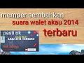 Suara walet Akau 2014 terbaru.