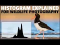HISTOGRAM Explained For WILDLIFE Photography - How To READ Histograms For Correct Exposure