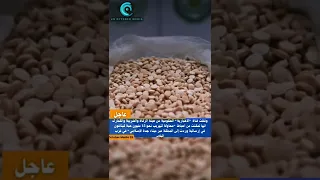 السعودية تحبط محاولة تهريب نحو    حبة كبتاجون    دندنها