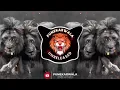 Download Lagu Is Jungle Mein Hum Do Sher || Imlie Ka Boota ||  Bouncy Mix || Untage Mix || Punekarwala Unreleased