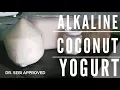 Alkaline Coconut Vegan Yogurt Sebi Approved
