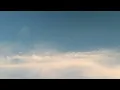 Arash Buana - i've always loved you (Cover by Fred)