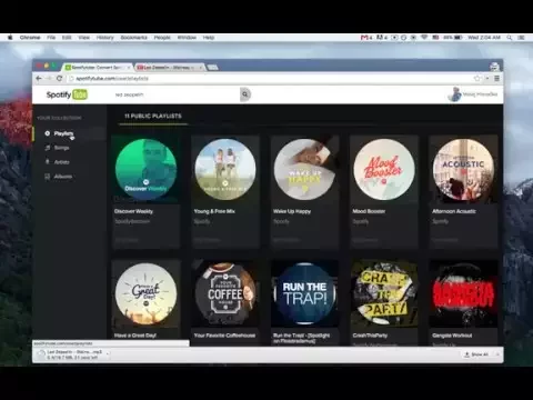 Download MP3 Spotify Downloader In Mp3 For Free