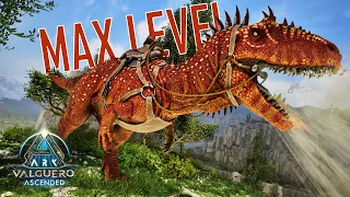 MAX LEVEL Carcharodontosaurus Taming ARK Valguero Ascended EP12