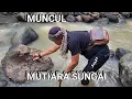 Lagu MUNCUL MUTIARA SUNGAI