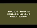 NodeJS How to handle should js assert error