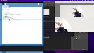 Loading Images in Programming with Processing