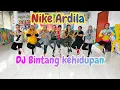 Download Lagu DJ Bintang kehidupan - Nike Ardilla  Remix santai full bass - Novin Asia 