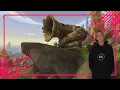 HOW TO UNLOCK MARUUK CENTAUR OHN AHRAN FRIENDSHIP MAILBOX TOY WORLD OF WARCRAFT